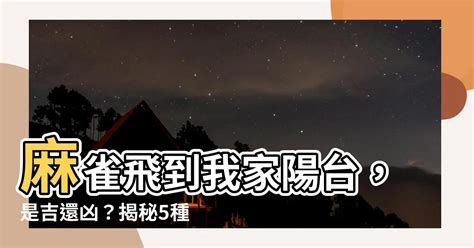 麻雀飛進家裡|【麻雀飛到陽台】麻雀飛到我家陽台，是吉還兇？揭秘5種鳥飛入。